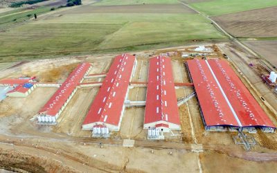 GRUPO UVESA ABRE EL AÑO CON Grangenia, NUEVA EXPLOTACIÓN PORCINA INNOVADORA Y SOSTENIBLE