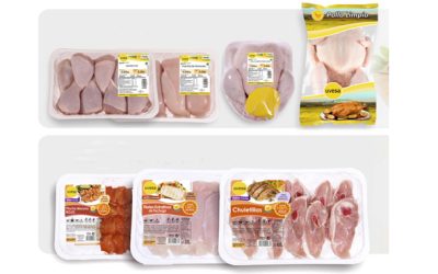 UVESA Group debuts new designs, modern and informative