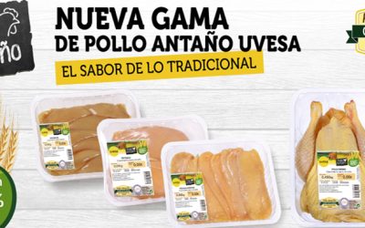 UVESA LANZA SU NUEVA  GAMA POLLO DE ANTAÑO