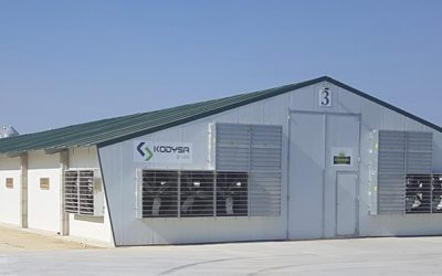 LE « noyau de volaille plus grand » de l’Espagne, est associé à UVESA, reçoit plus d’investissementsill