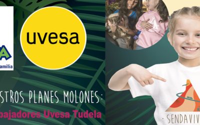 GRUPO UVESA OFFRE UNE REDUCTION A SES EMPLOYES POUR VISITER SENDAVIVA