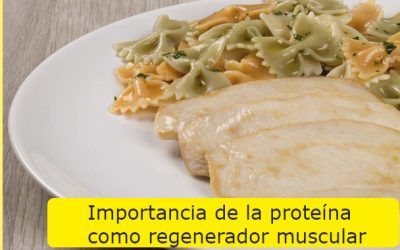 La importancia de la proteína como recuperador y regenerador muscular