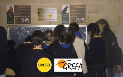 Uvesa colabora con el grupo de Rehabilitación de la fauna autóctona y su habitat (Grefa)