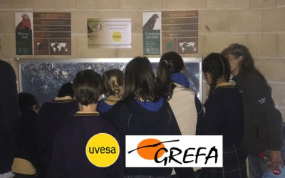Grupo Uvesa collabore avec Grefa (Groupe de réhabilitation de la faune indigène et de son habitat) dans un projet éducatif visant à atteindre 12 000 visiteurs.