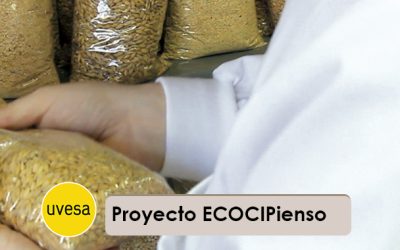 Grupo Uvesa develops the project “ECOCIPienso, Circular economy” in the manufacture of feed for animal feed