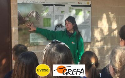 The educational collaboration between Uvesa and the Rehabilitation Group of the native fauna and its habitat is successfully completed (Grefa)