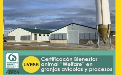 Grupo Uvesa certifica sus granjas avícolas de crianza y procesos con el sello de ‘Bienestar Animal Welfare’