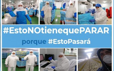Grupo Uvesa se suma a la campaña “EstoNotienquePARAR” y nos lo explica nuestro presidente en Navarra Televisión
