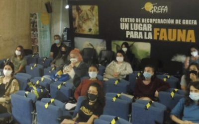 Uvesa maintains its support for Grefa