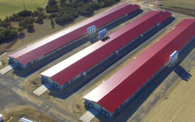 Uvesa group expands it’s network of integrated farms with three new chicken breeding vessels in Albaracín (Teruel)