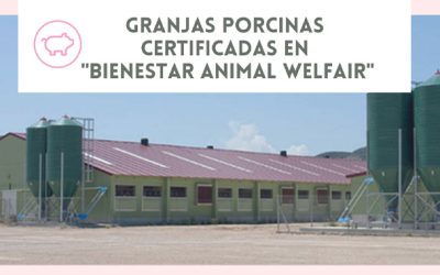 Grupo Uvesa obtiene la certificación “Bienestar animal Welfair”