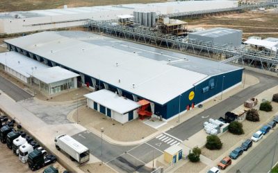 UVESA Group, a pioneer in Spain in the automation of the sexing of chickens