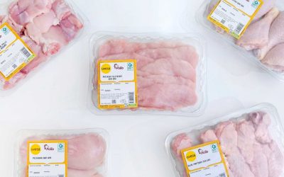 Le groupe Uvesa renouvelle les certifications de sécurité alimentaire de toutes ses usines de transformation en 2024
