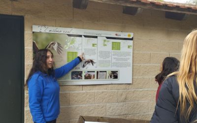 UVESA Group strengthens its commitment to biodiversity and environmental education through its collaboration with GREFA