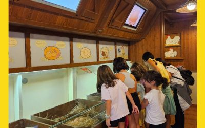 Grupo Uvesa y Senda Viva, una colaboración por la naturaleza y la educación ambiental